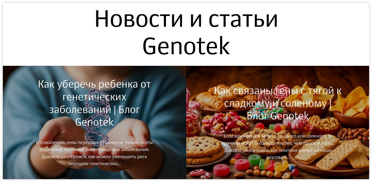 stranica-bloga-primer